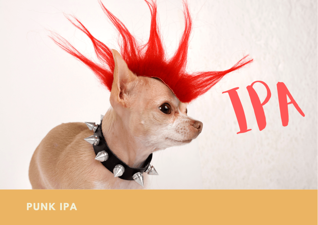 Punk IPA