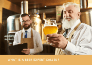 What Is A Beer Expert Called