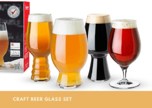 Craft Beer Glass Set