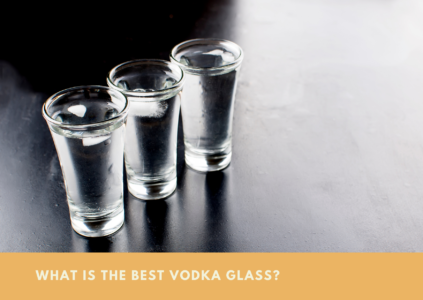 What Is The Best Vodka Glass