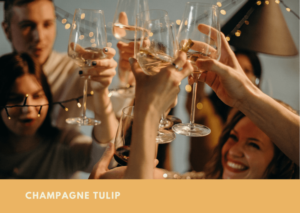 Champagne Tulip