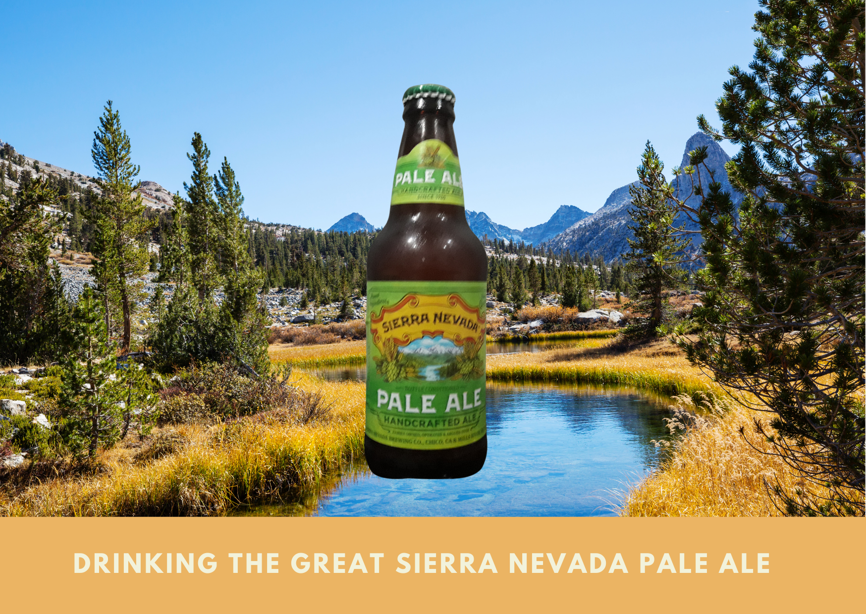 Drinking The Great Sierra Nevada Pale Ale