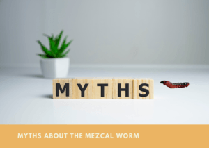 Myths About The Mezcal Worm