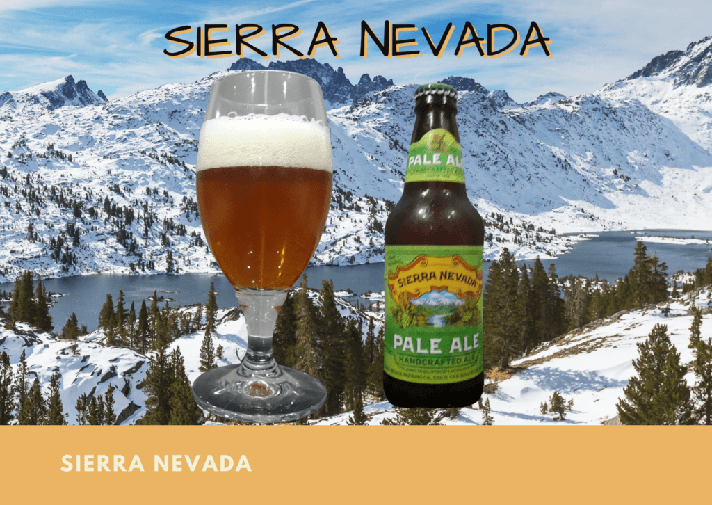 Drinking the great Sierra Nevada Pale Ale