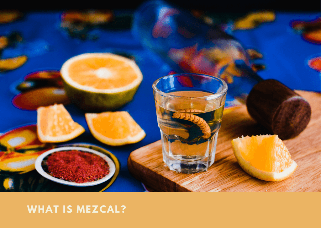 What Is Mezcal
