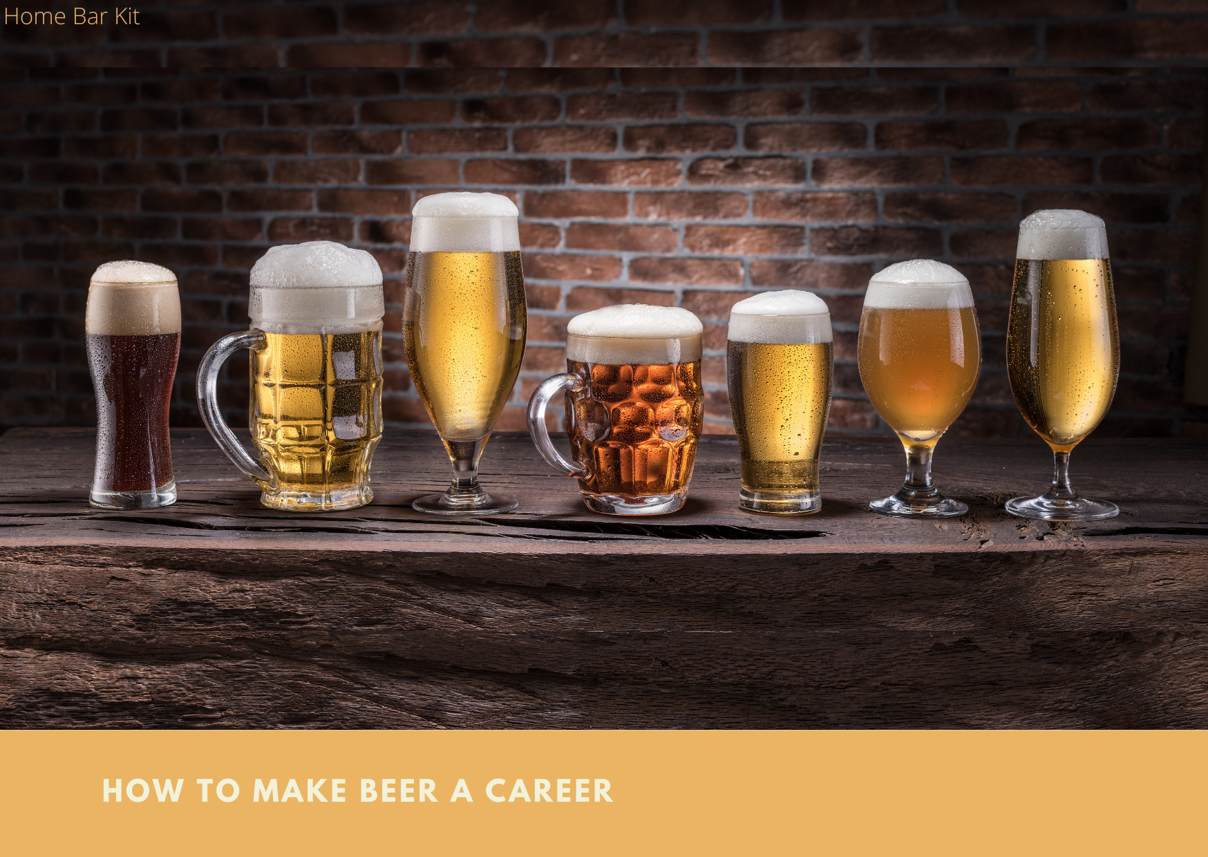How To Make Beer A Career