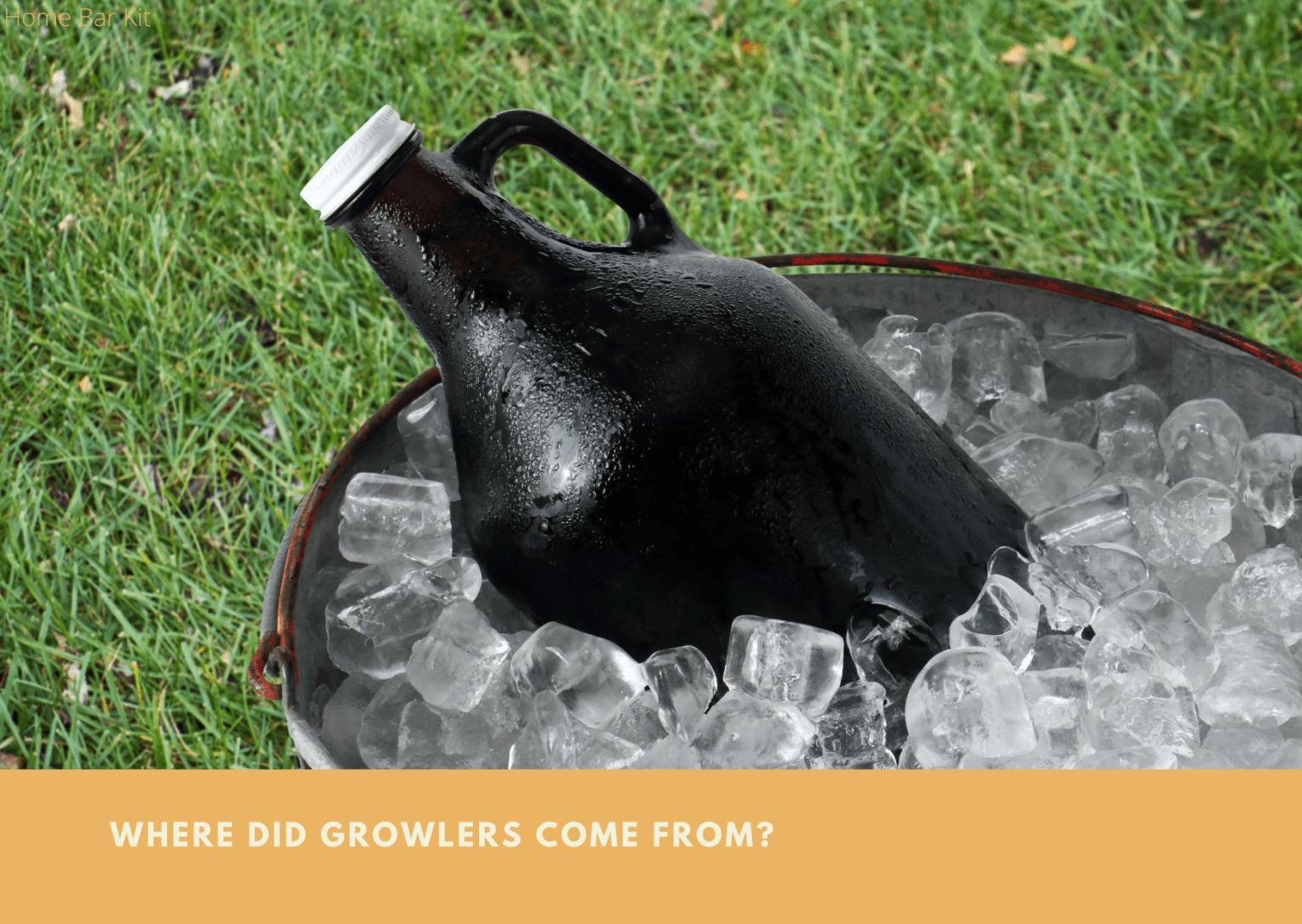 What Is A Growler, And How Do They Work? Home Bar Kit