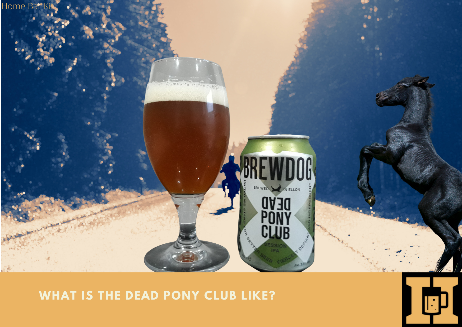 What Is The Dead Pony Club Like
