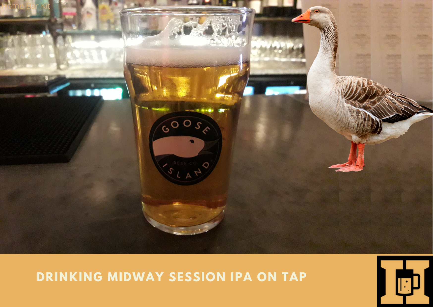 Drinking Midway Session IPA On Tap