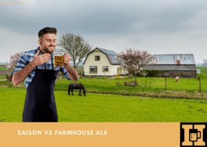 Saison Vs Farmhouse Ale