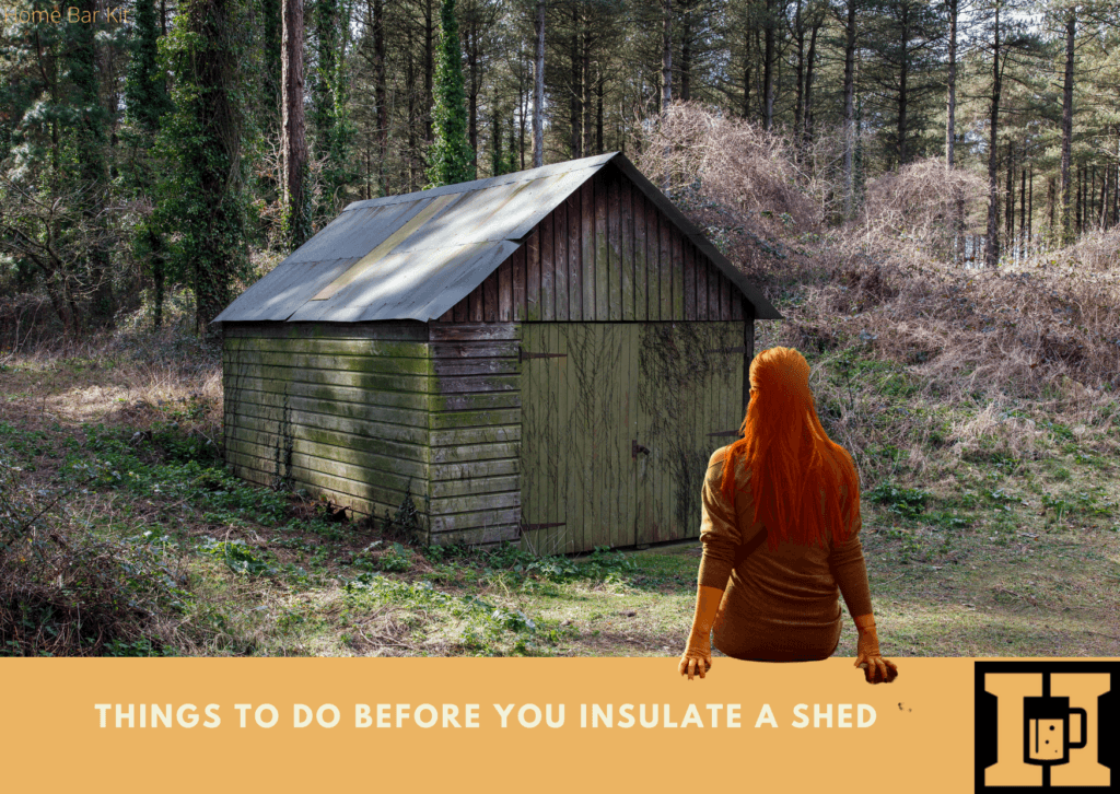 Should I insulate My Pub Shed