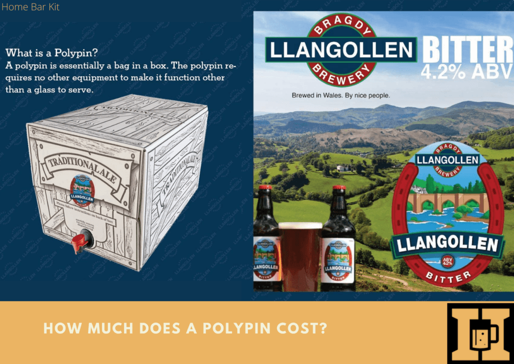 What Is A Polypin Beer Bag