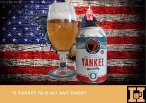 Is Yankee Pale Ale Any Good