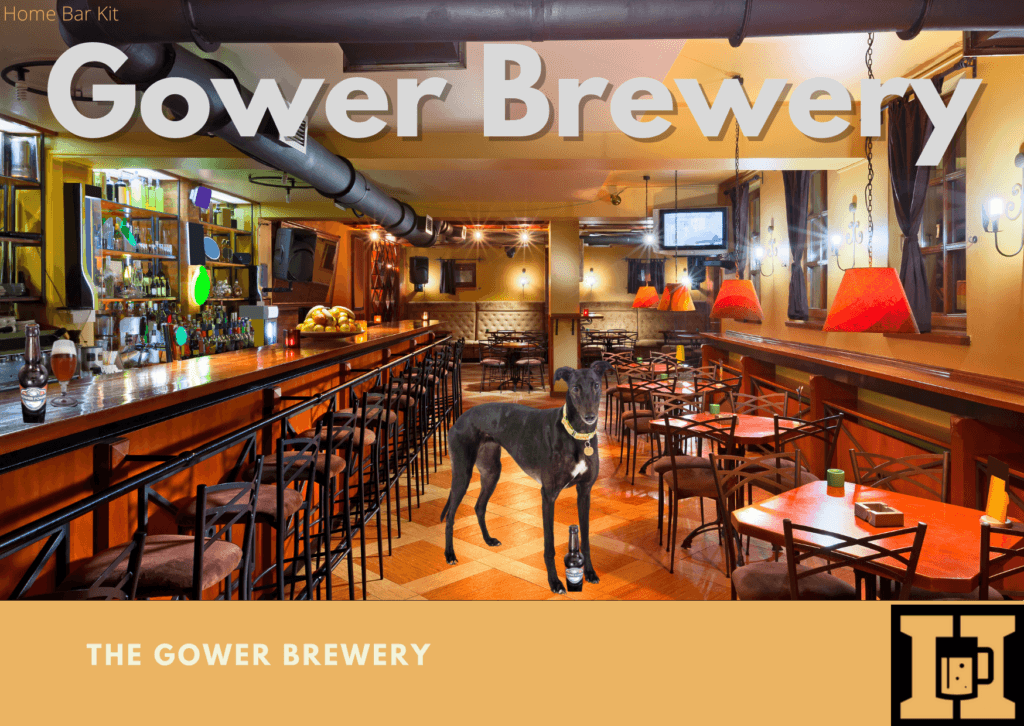 Is Gower Power Beer Any Good