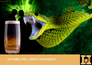 Do Pubs Still Serve Snakebite
