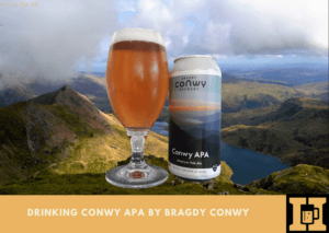 Drinking Conwy APA By Bragdy Conwy