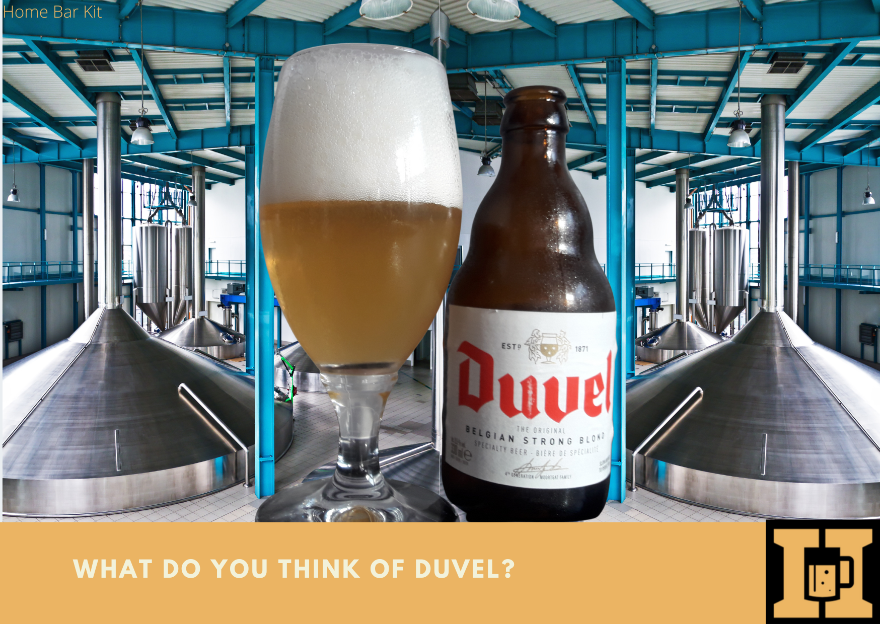 What Do You Think Of Duvel