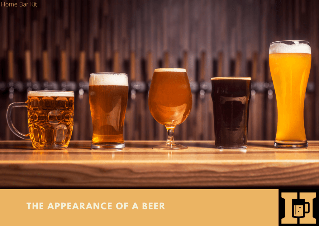 Do Different Beer Glass Shapes Really Make A Difference To Taste