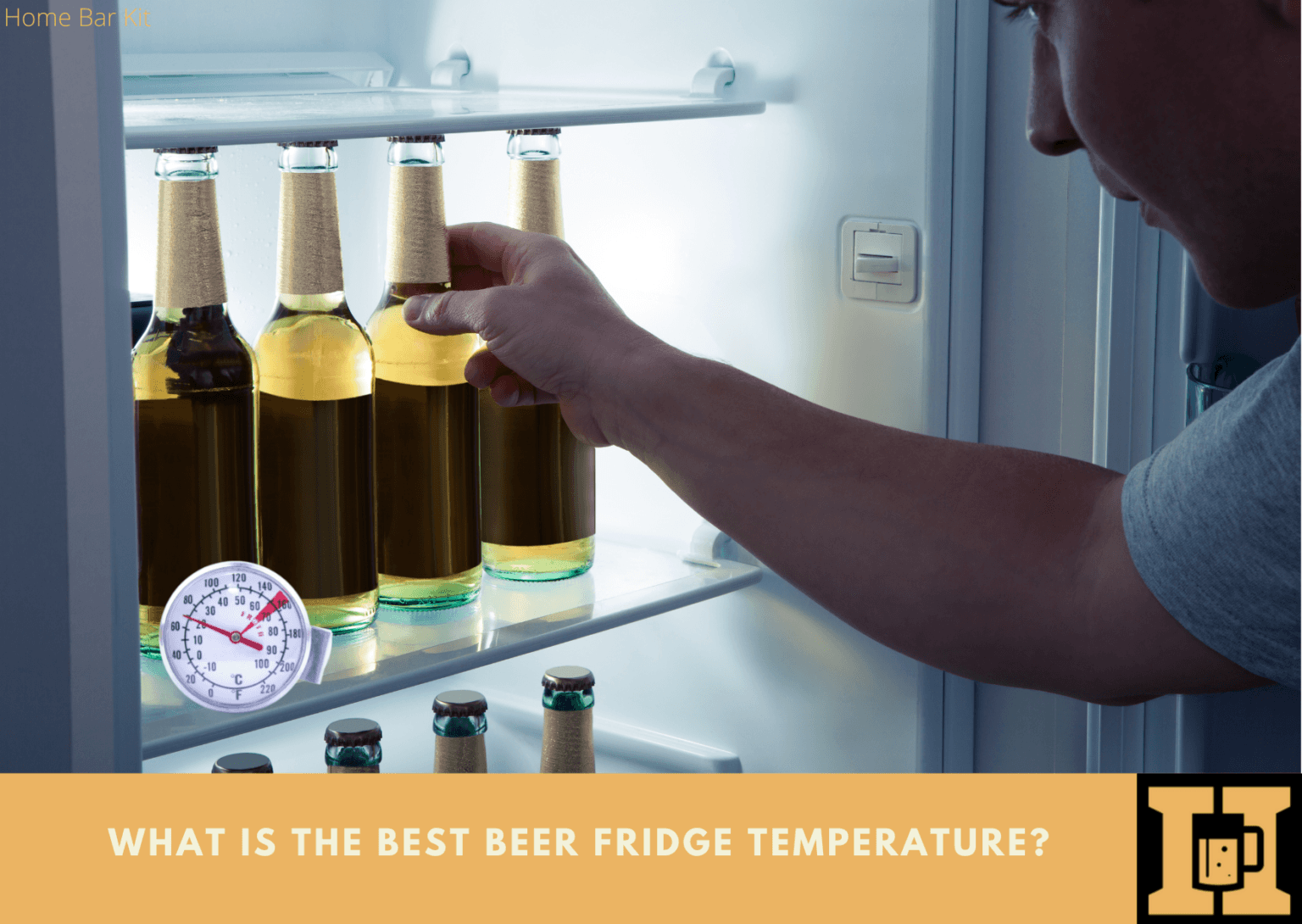 What Is The Best Beer Fridge Temperature? Home Bar Kit