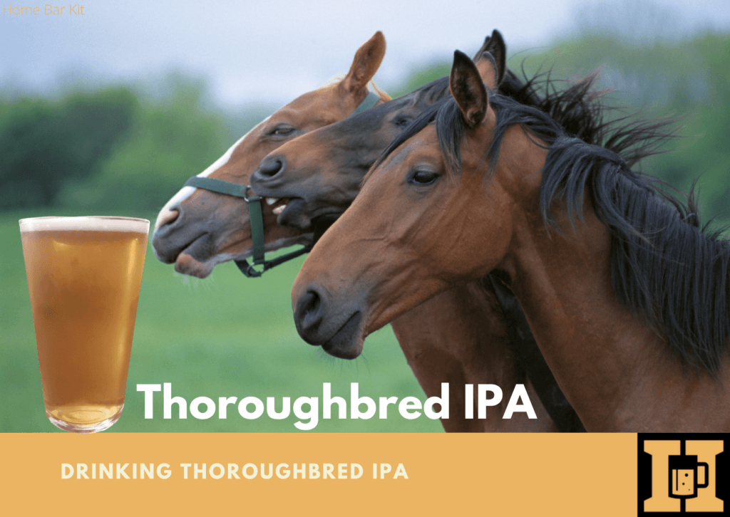 Tasting Thoroughbred IPA By Hambleton Brewery