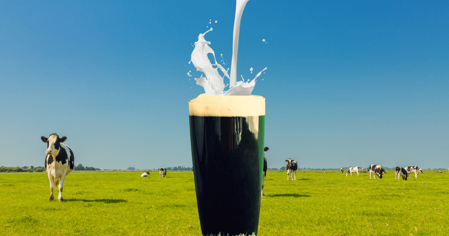 What Is The Difference Between A Stout And Milk Stout? HBK