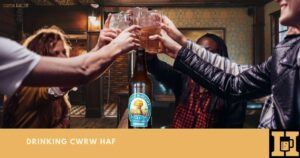 Cwrw Haf Beer Review