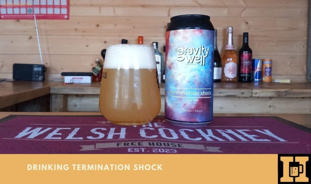 Termination Shock Pale Ale